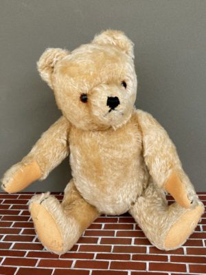 Teddy ca. 1950