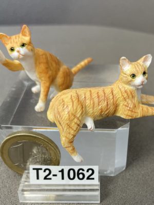 Katzen