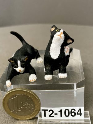 Katzen