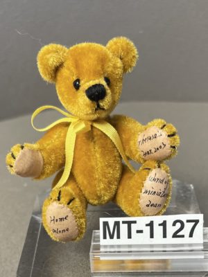 Teddy "Home alone"
