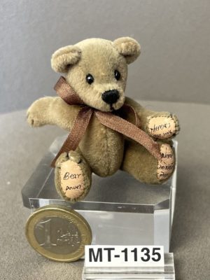 Teddy