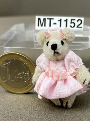 Mini Teddy