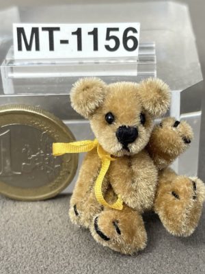 Mini Teddy