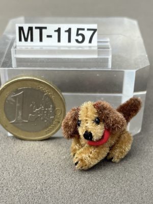 Mini Hund