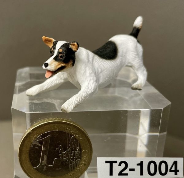 Jack Russell Terrier