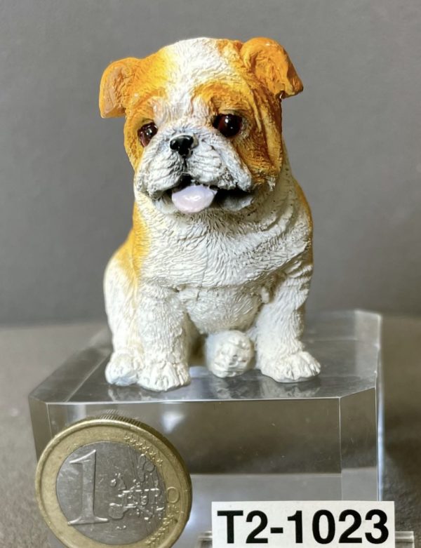 Bulldogge