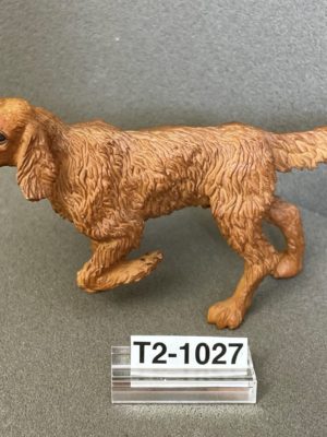Irisch Red Setter