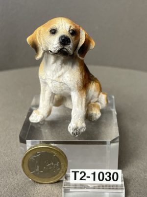 Jagdhund