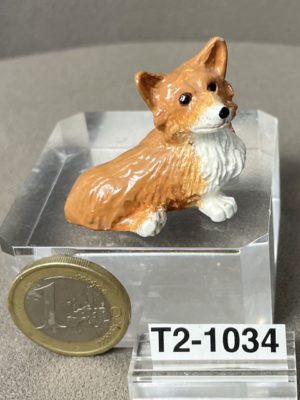 Corgi