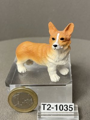 Corgi