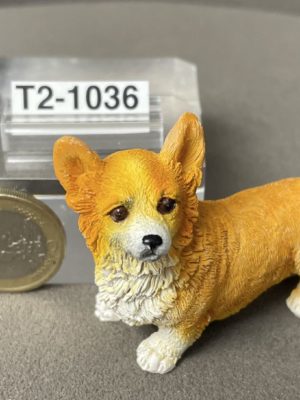Langhaar Corgi
