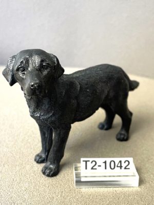 Labrador