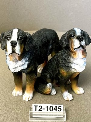 Berner Sennenhund
