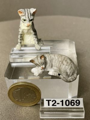 Katzen