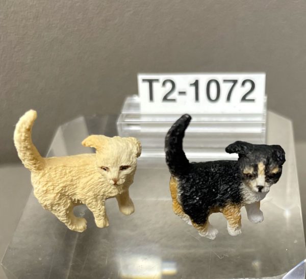 Junge Katzen