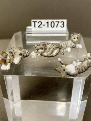 Katzen Massstab 1:24