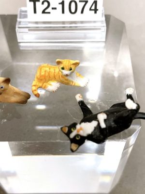 Katzen Maßstab 1:24