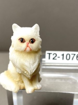 Edelkatze