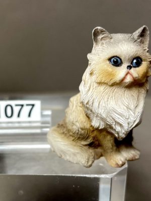 Edelkatze
