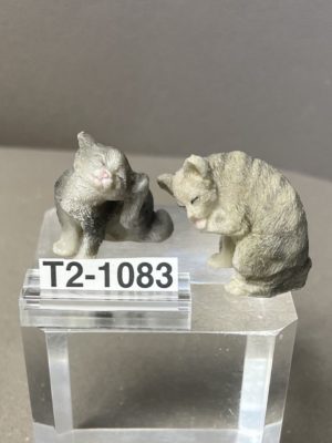 Katzen