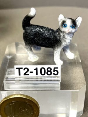 Katze