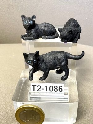 Katzen