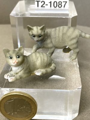 Katzen