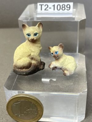 Katzen