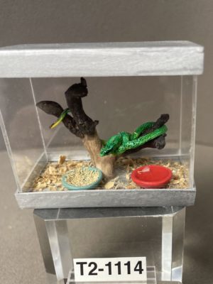 Terrarium mit Schlange