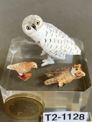 Verschiedene Vögel