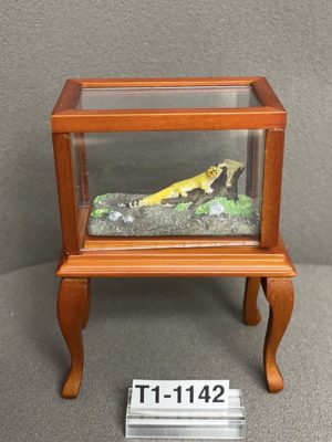 Terrarium