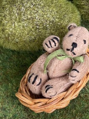 Mini Teddy
