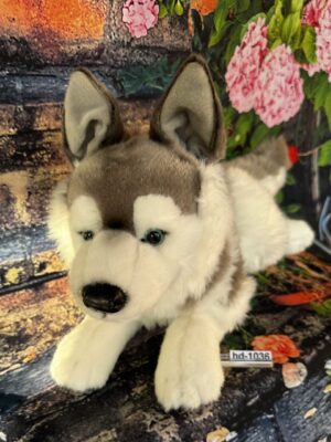 Husky
