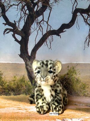 Schnee Leopard Welpe