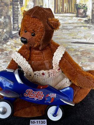Flugzeug für Teddy
