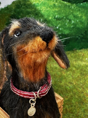 Zufriedener Dackel "Charlz"