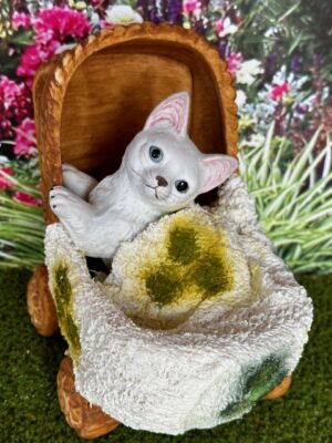 Katze im Puppenwagen