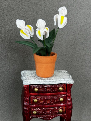 Weisse Lilien im Topf 5 cm