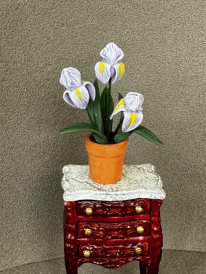 Lila Lilien im Topf  5 cm