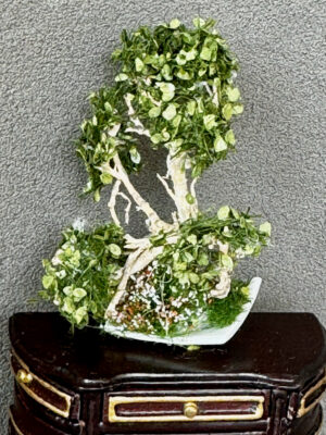 Miniatur Bonsai 1:12