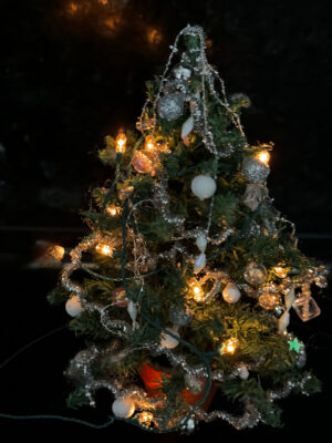 Tannenbaum mit Beleuchtung