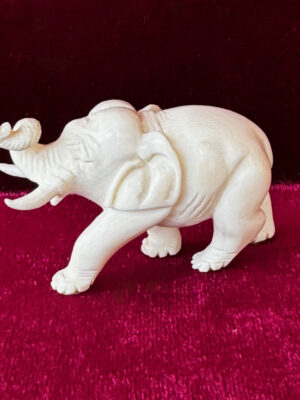 Elefant Elfenbein