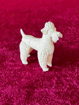 Rasse Hund Elfenbein